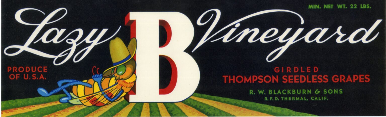 Lazy B Vineyard